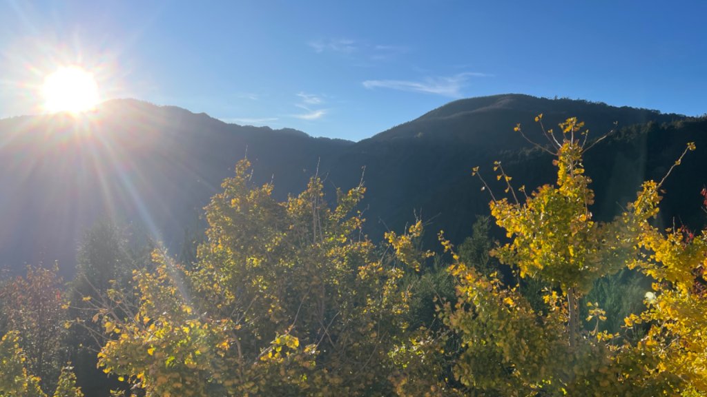 野馬瞰山封面圖