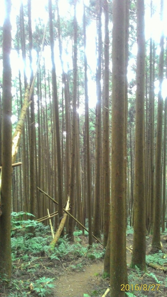 20160827新竹五峄民都有山_61777