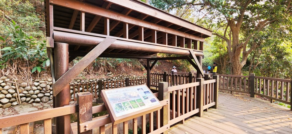 台中大雪山森林遊樂區，雪山神木，天池，埡口觀景台，砲台山（台中公園），湧泉公園，瑞井古井步道_2095206