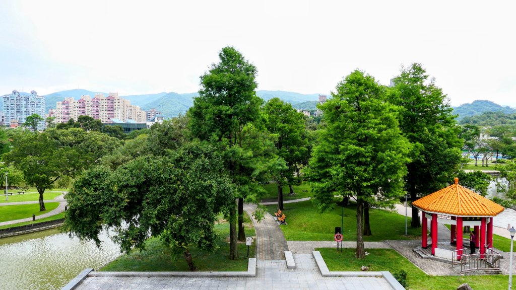 白石湖沒有百合花。晶片關稅_2781554