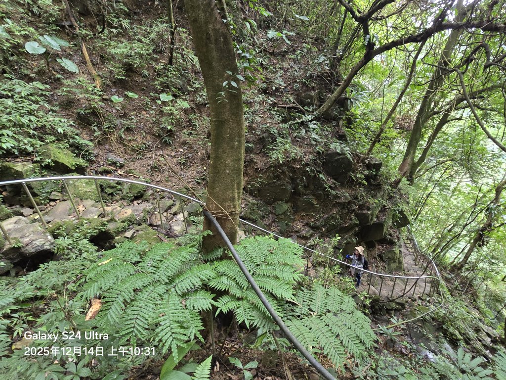 2025-12-14微笑山線：【二格山系】銀河洞越嶺段_2962156