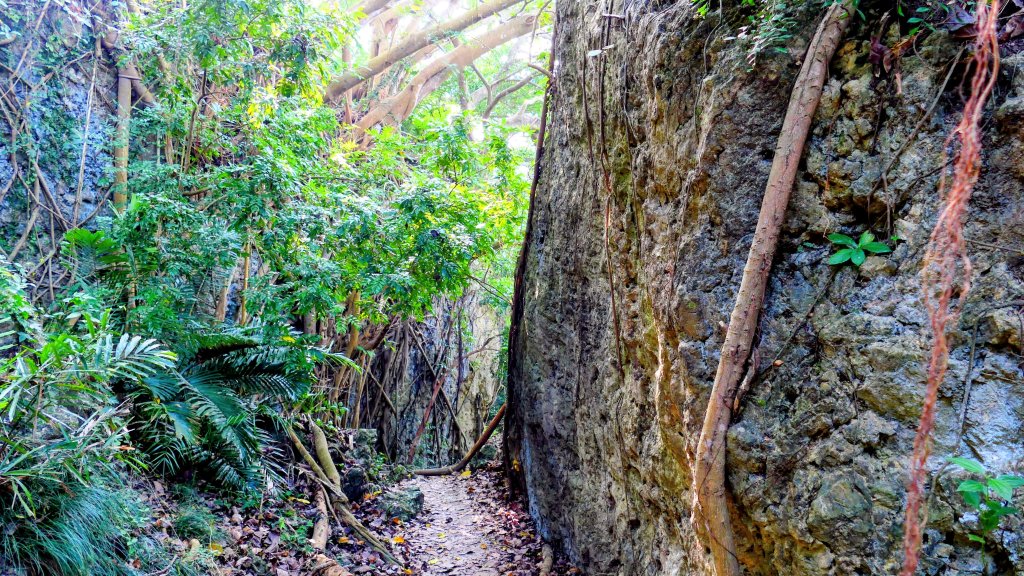 左營半屏山_2954355