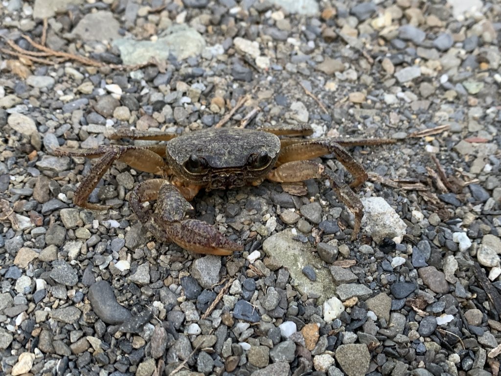 20231111台南烏山縱走_2354157