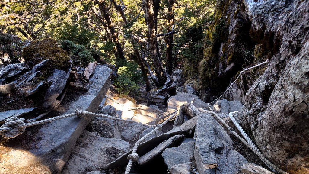 一日南臺首岳 關山(2023.1.13)_1994199