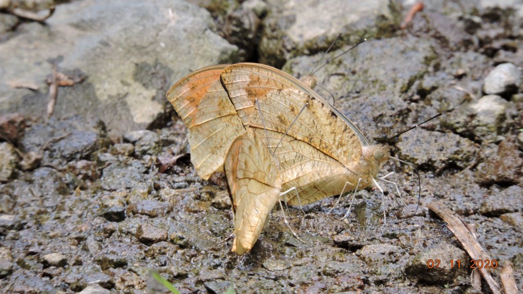 就是喜歡這個藍天白雲的FU_1029270