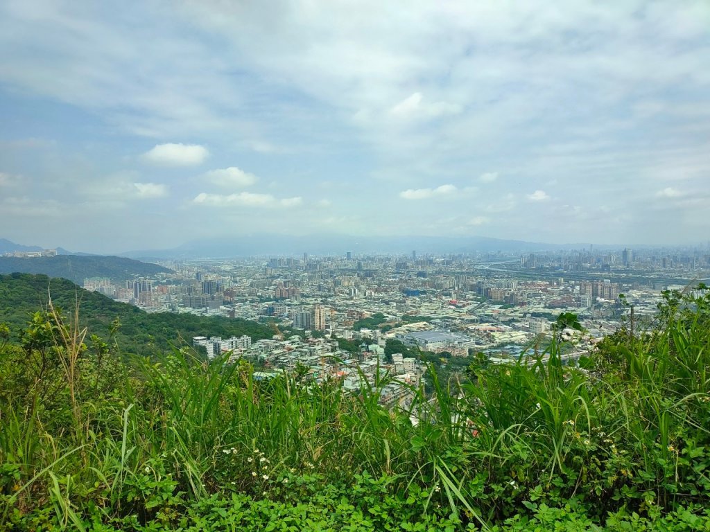 樹鶯縱走（樹林~鶯歌）_2237565