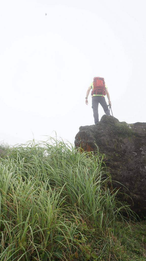 陽明山東西大縱走活動_402905
