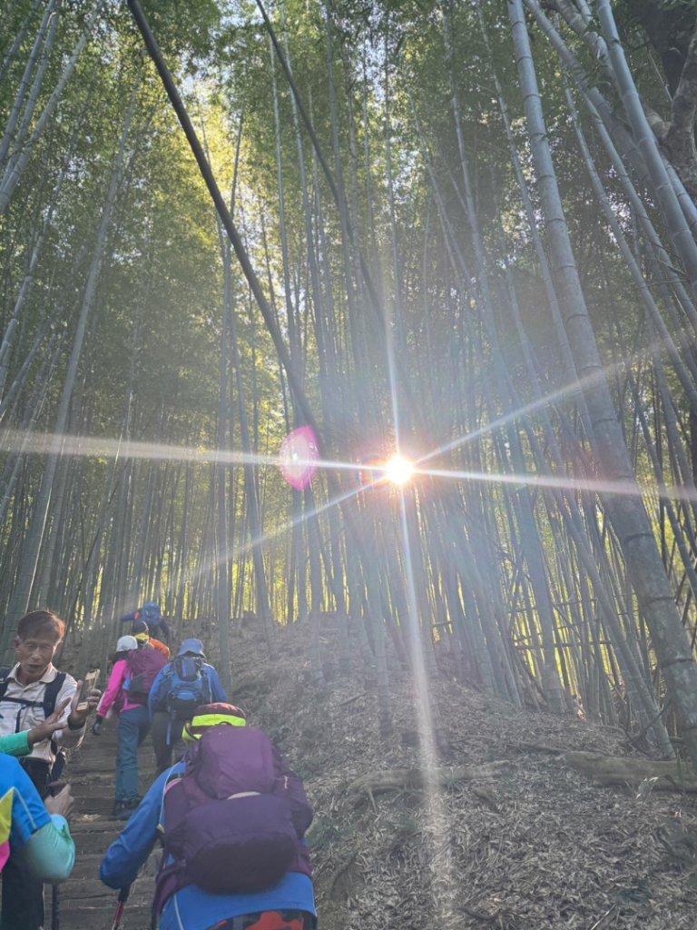 九穹神木 左訪嘉南雲峰 右到好望角看風景上石壁山(小百岳#55)_2944770