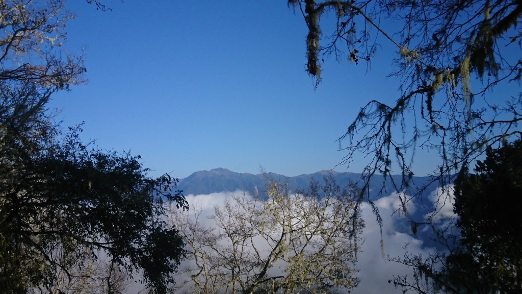 20250125 伊加之蕃-卑南東稜_2715141