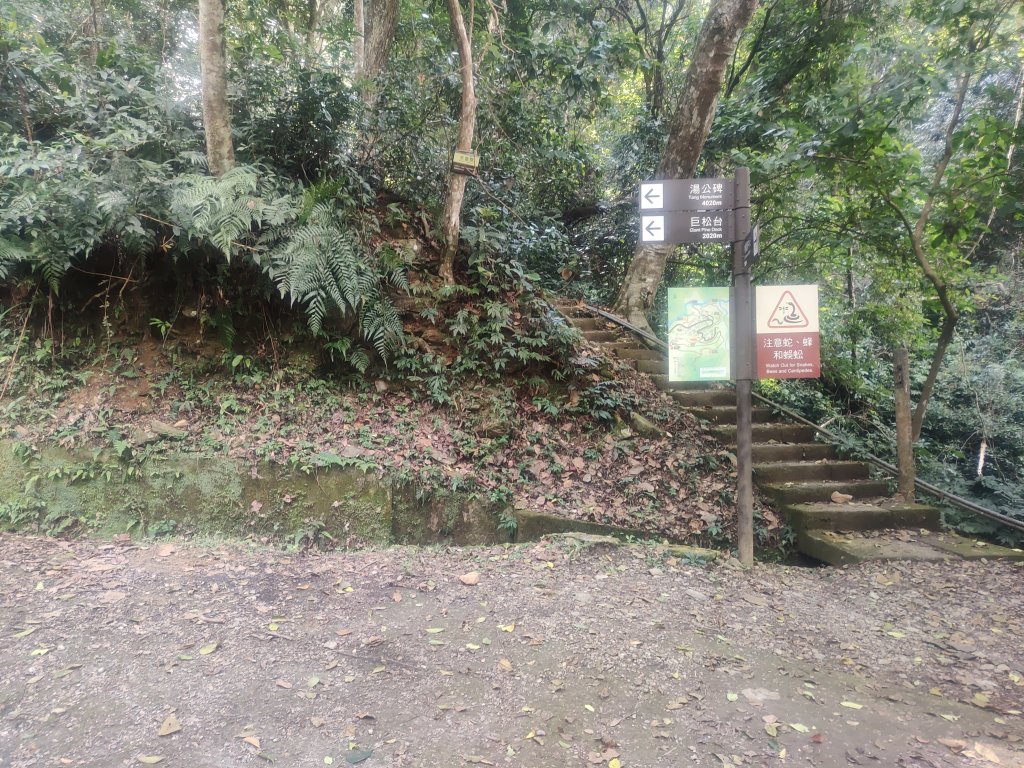 惠蓀湯公啤&小嵐_2697822