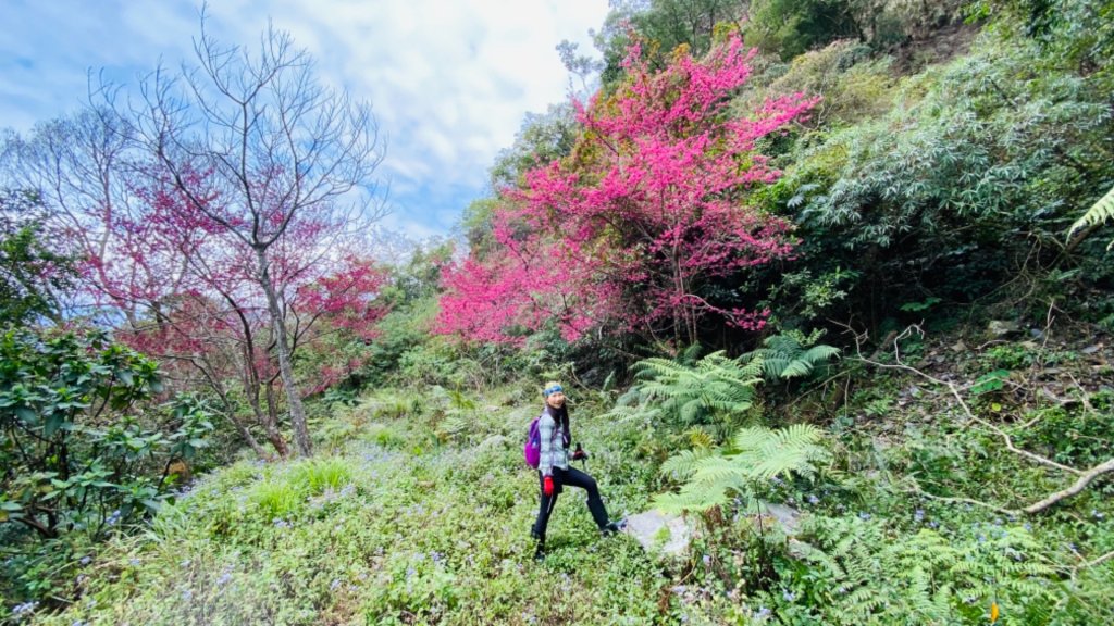 小鬼湖林道上亞泥迪山_1277009