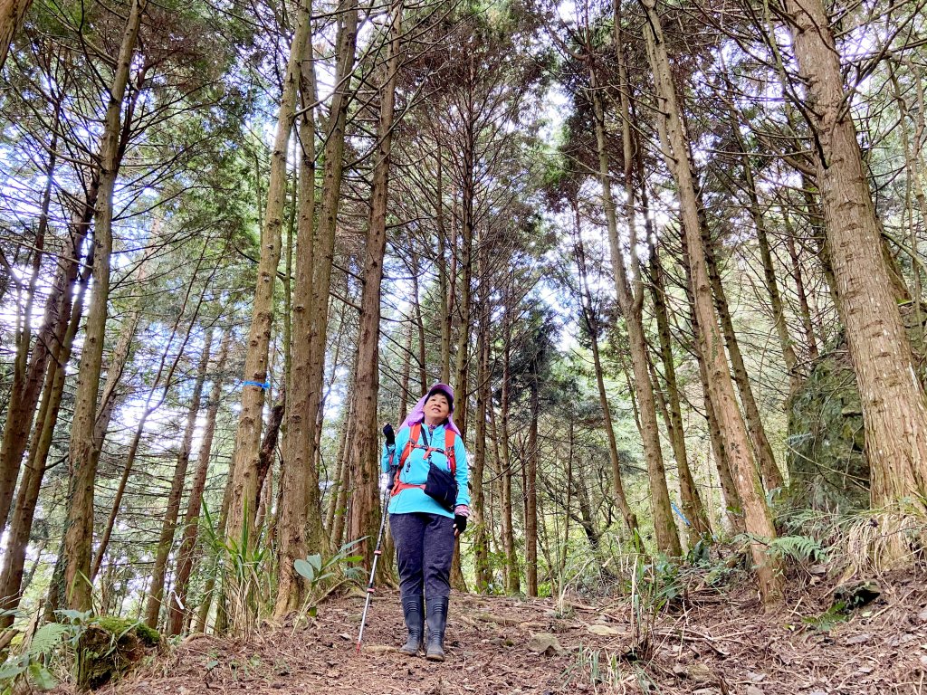 南橫小關山林道登留佐屯.小斯拉巴庫美瓏山_1233425