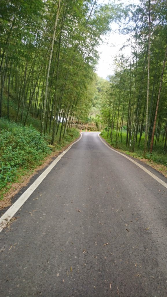 溪頭山、竹崙山、志騰山3山連走_1484380