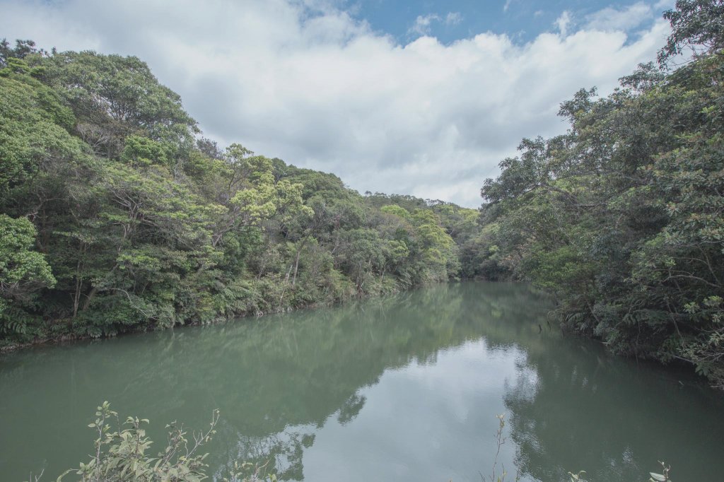 台北大縱走第四段（風櫃口-大溝溪生態治水園區）-山林、綠地、溪流、瀑布的愜意之旅_1663528