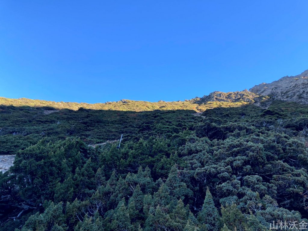 2023-11-27 玉山主峰_2365026