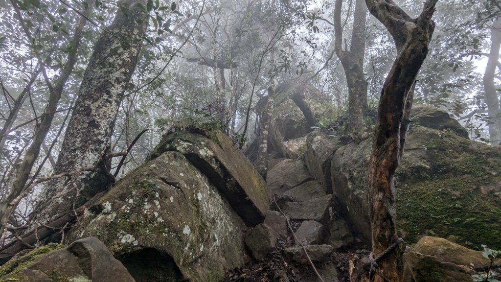 向天湖山步道 (大 O：含三角湖山、光天高山)_2664964