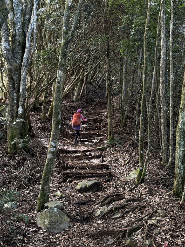 回程下雨的 松鶴上 八仙山 20251025_2925743