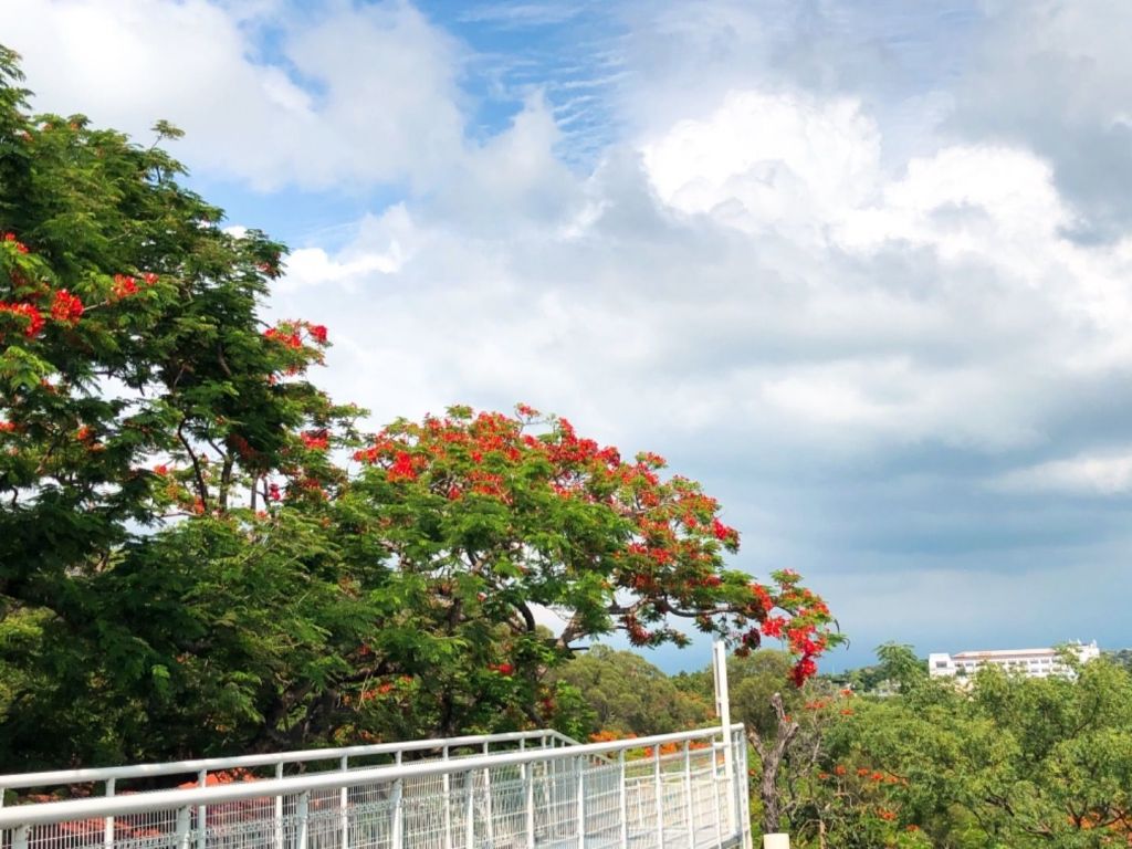 彰化八卦山天空步道_329129