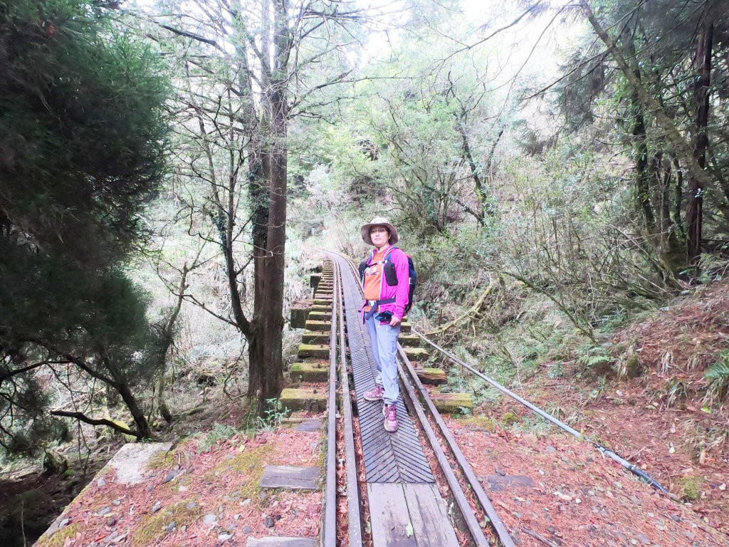 2023尋訪消失的眠月線聚焦失落沉寂的百年鐵道之旅_2109722