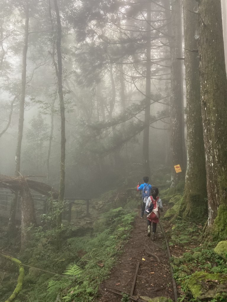 晴空加里山雲裡杜鵑嶺霧裡尋鐵道_1146730