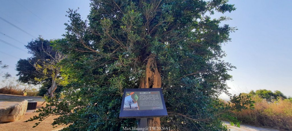 《台中》短暫暖陽｜龍井竹坑南寮步道O繞20260104_2976428