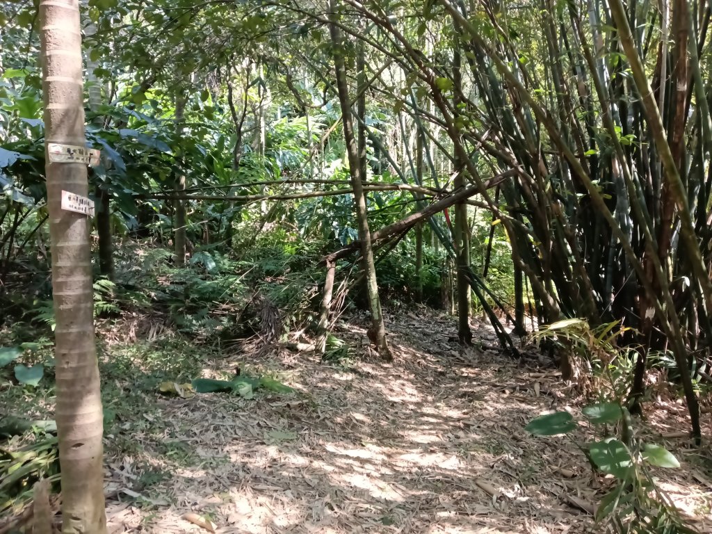 基隆市曾子寮山+大德山+摩天嶺+九華山+龍鳳山+火號山+球子山燈塔+白米甕砲台+白米甕尖+基隆燈塔_3006567