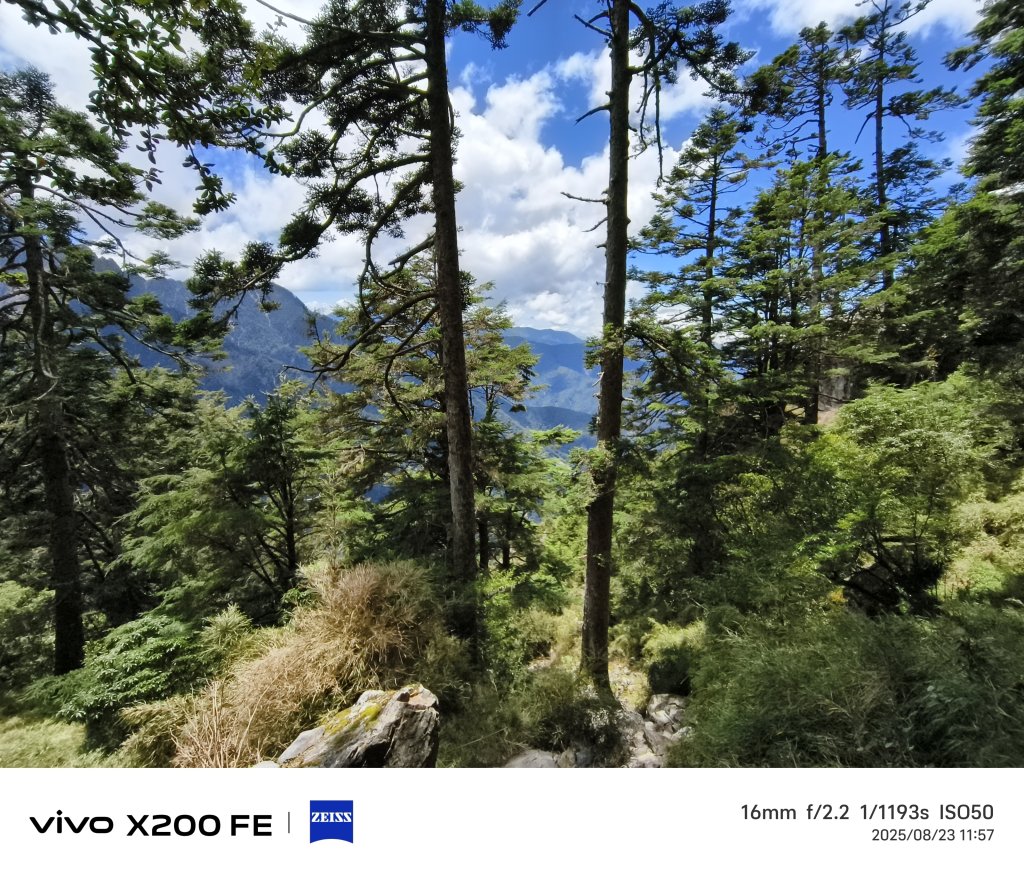 [玉山尋寶任務-04/12] 2025_0823 玉山前峰登山山徑_2869609