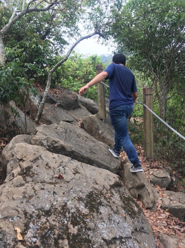 龍麟山步道_518949