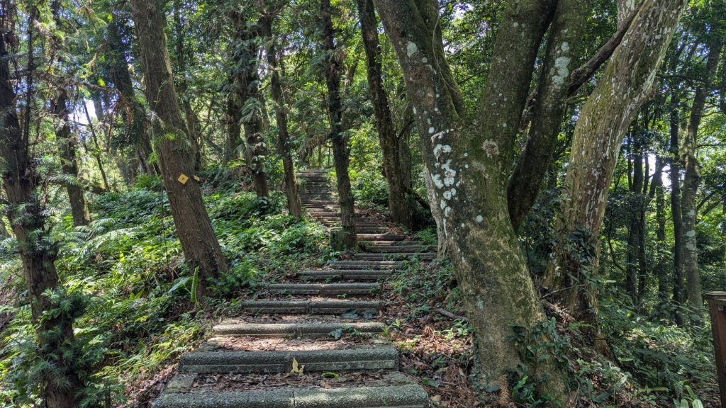 關刀山步道 (出關古道：聖關段)_2532832