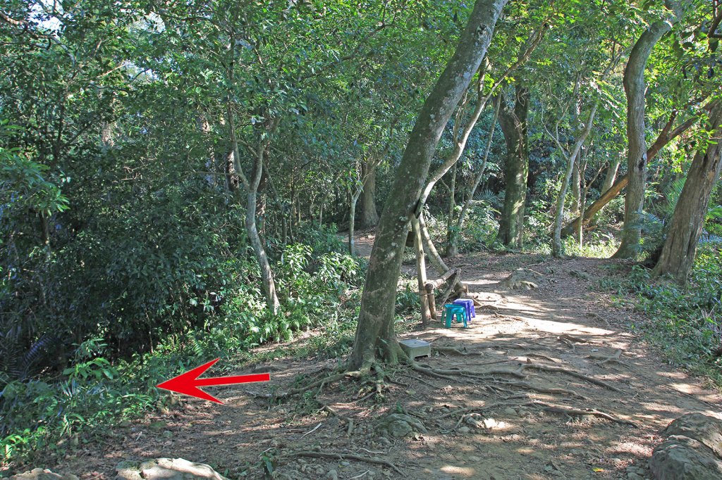 總督府步道.頭寮山_752458