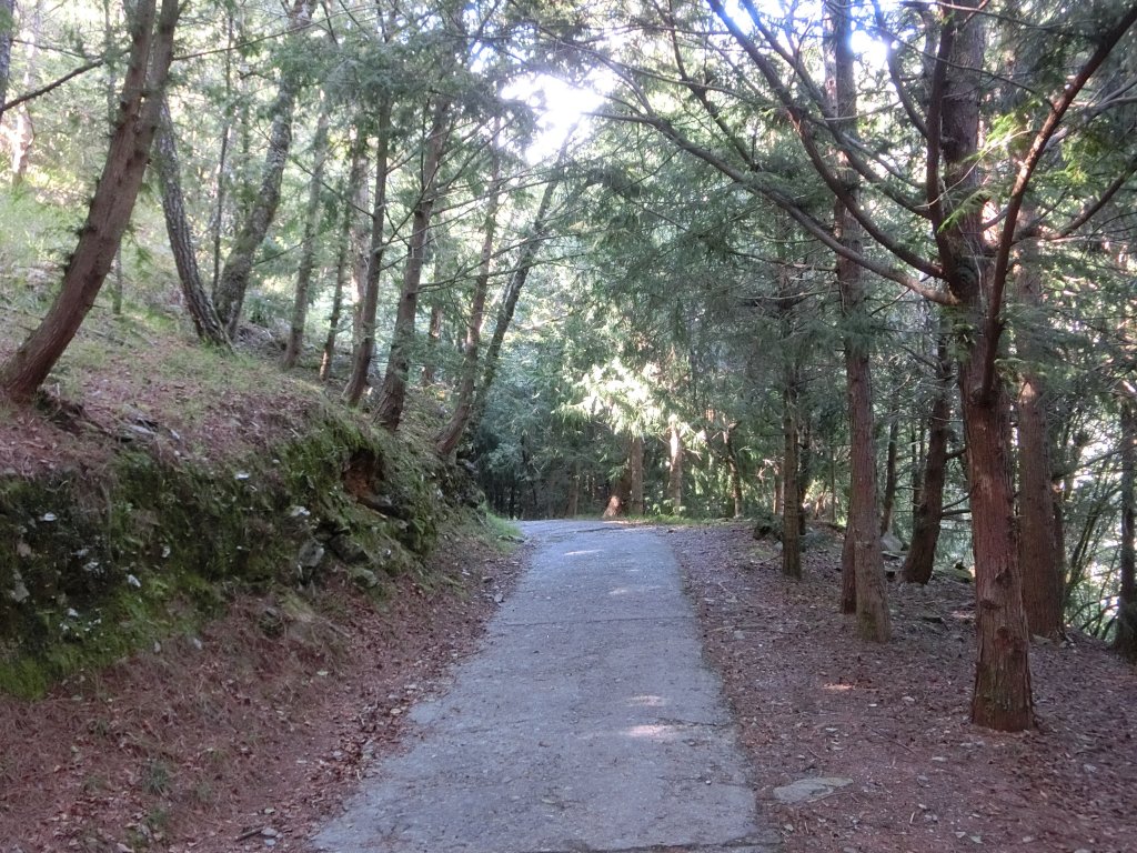 桃山瀑布步道．武陵_415387