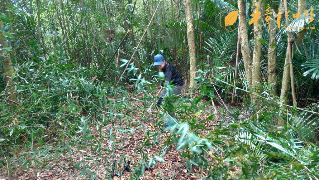 樟之細路 | 08/24砍草任務_658060