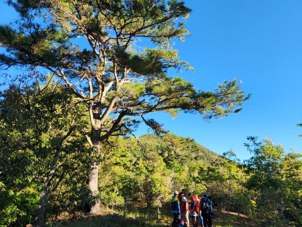 【中級山】馬武霸山，實至名歸的百岳觀景台_2937712