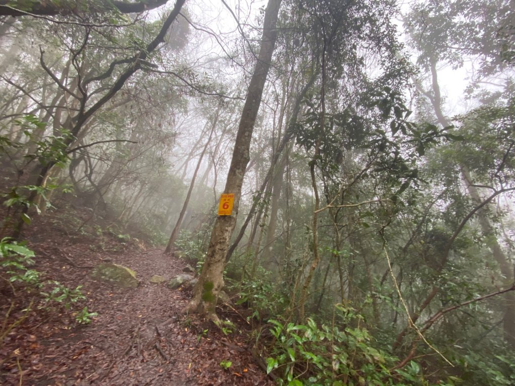 苗栗泰安-水雲三星-虎山_2612799