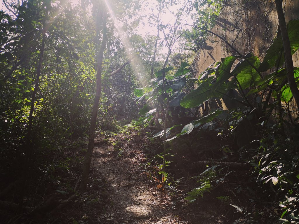 我從福人步道走去大北坑吃好料_818606