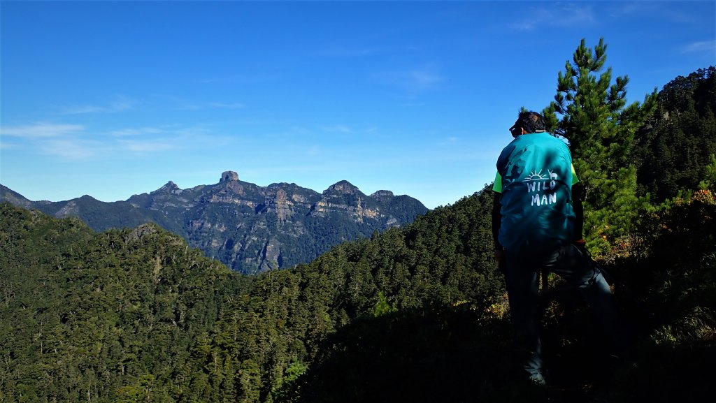 穿梭叢林桃山瞻仰巨木的殿堂桃山神木之行封面圖