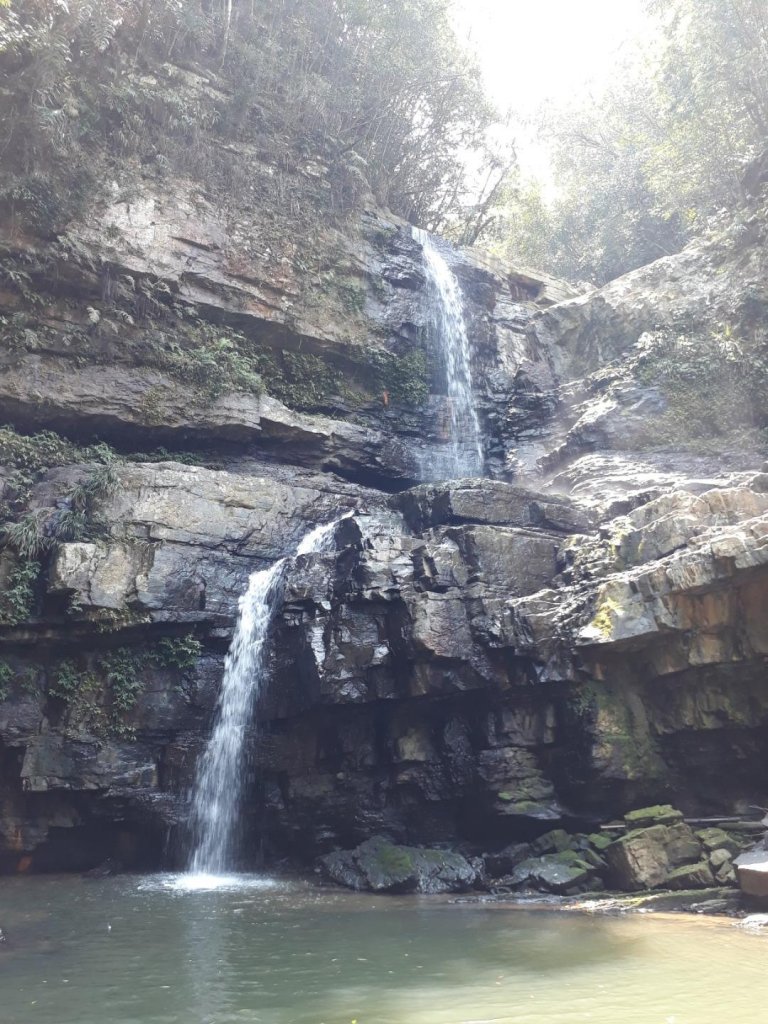 南投魚池澀水生態步道20190409_563535