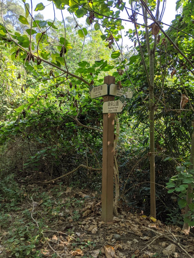 【高雄-小百岳】觀音山_稜線連峰O型縱走_796617