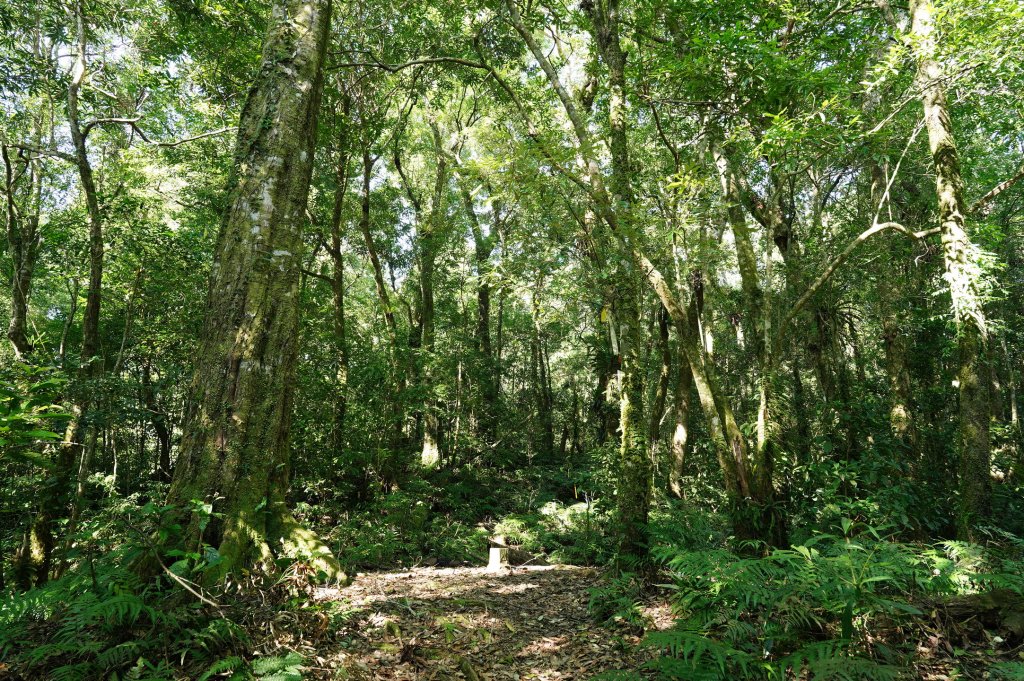 新北 烏來 山車廣山、檜山_2567373