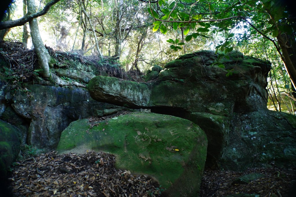 苗栗 南庄 紅毛山、無名山、大坪山_2943125