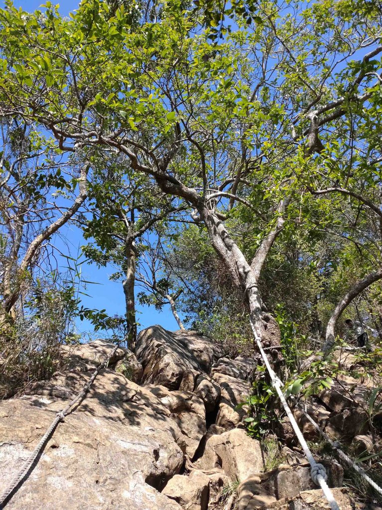 20220311龍麟山攀登_1636507