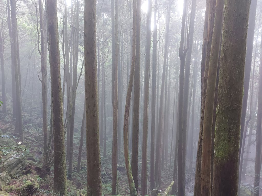 橫嶺山步道走走_1219178