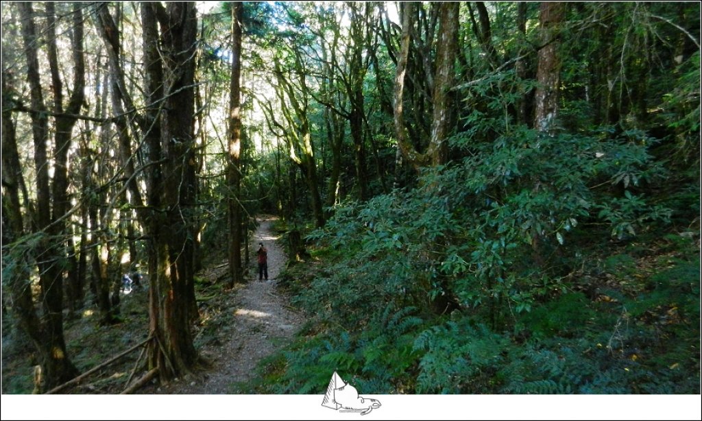 秋遊大雪山森林遊樂區‧稍來山步道_474333