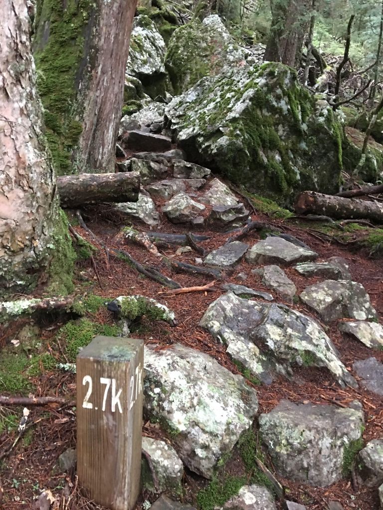 氣勢磅礡-大霸尖山_362547