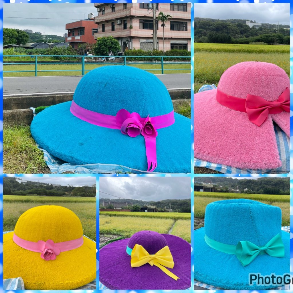 桃園大溪-花彩節🌼李騰芳古厝-月眉落雨松_2934637