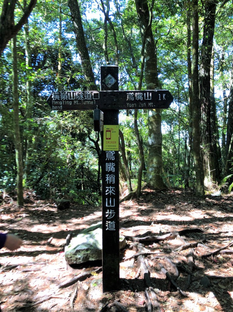 鳶嘴稍來國家步道季秋縱走_1144425