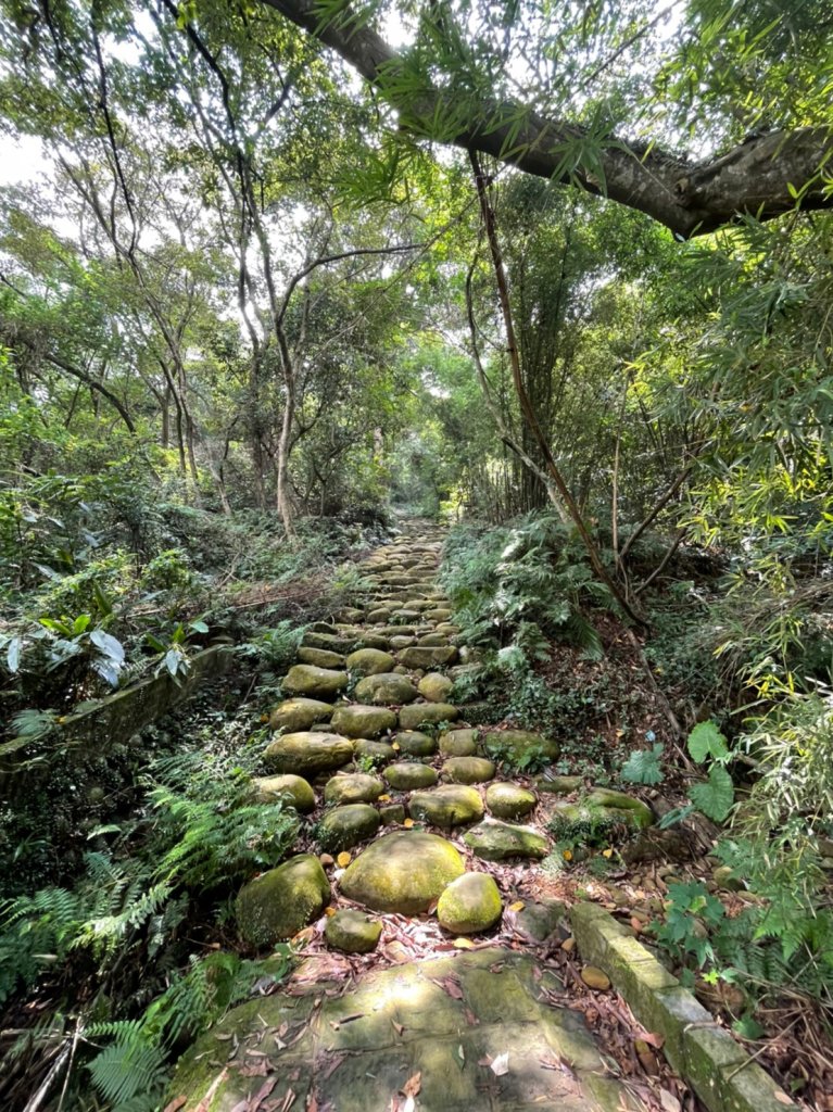 2022森遊竹縣 皮皮獅同樂會 - 仁和步道、金獅古道 0820_1819335