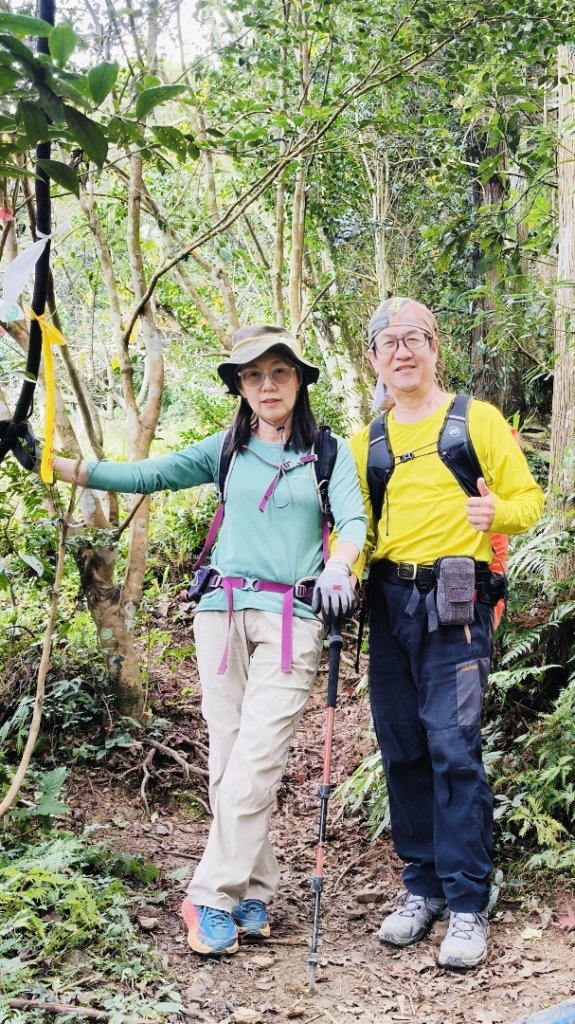 向天湖山1150125_2988191