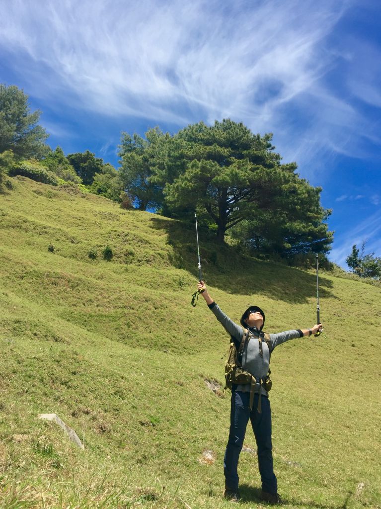 麟趾山&鹿林山_333028