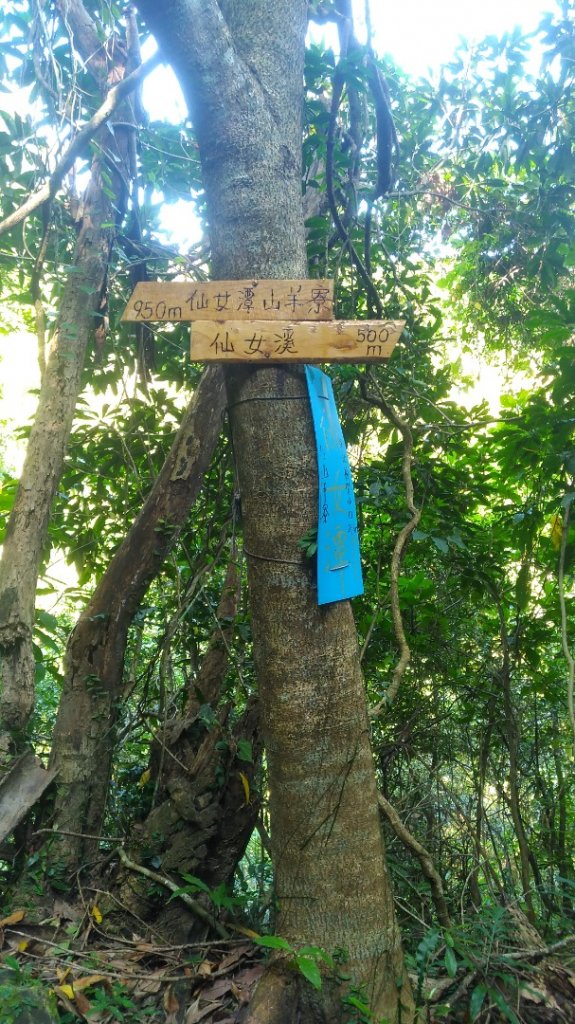 暗影山、仙女潭_1491594